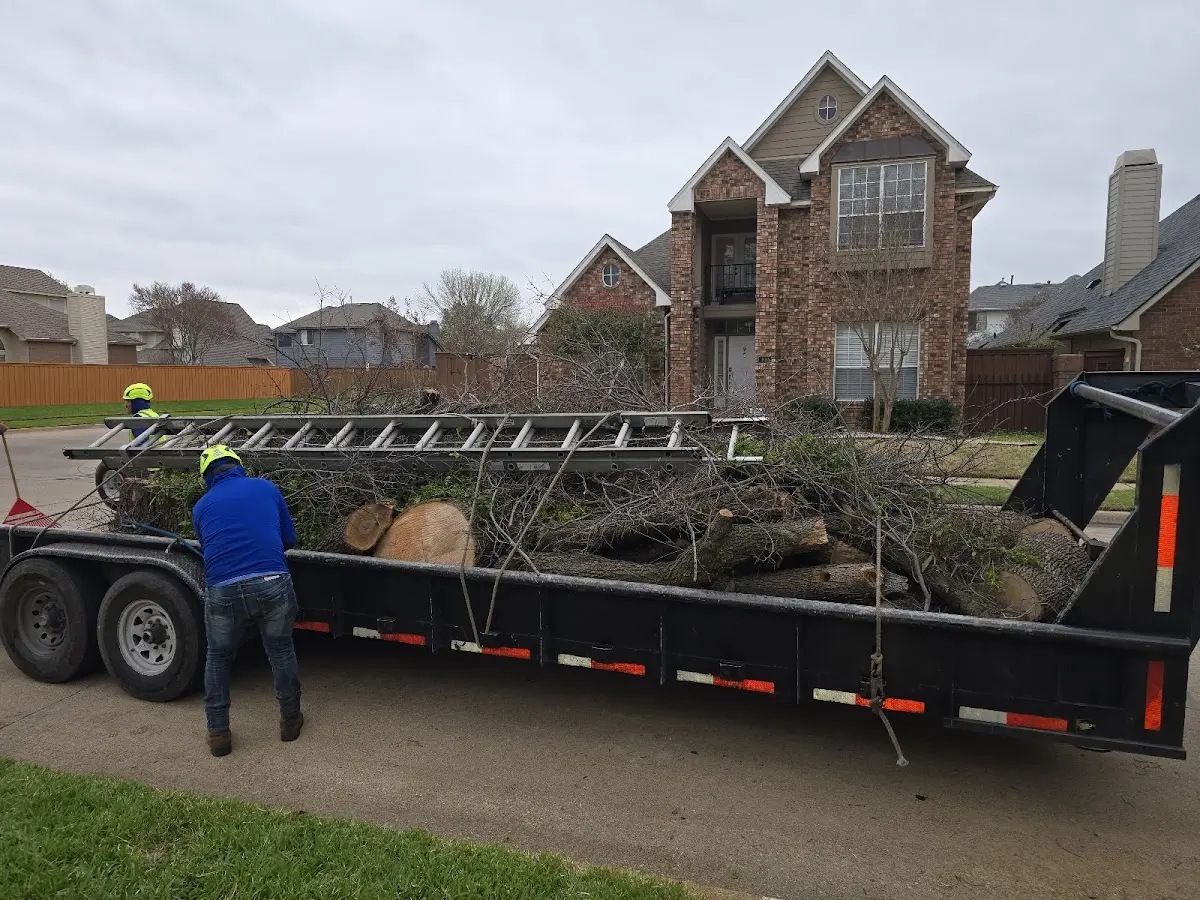 Expert Lot Clearing with proper safety equipment in Black River